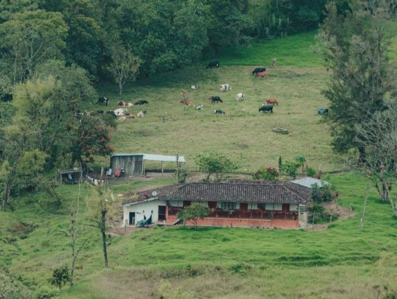 Innovación y Gestión Ambiental