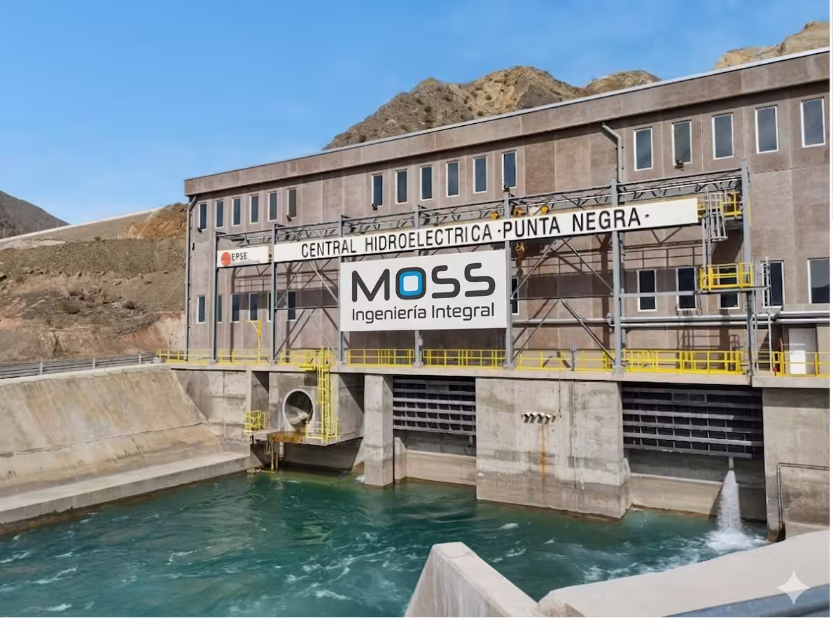 Obras hidráulicas MOSS