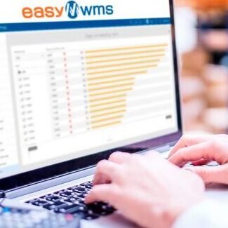 Software de gestión de inventarios y producción. (1)